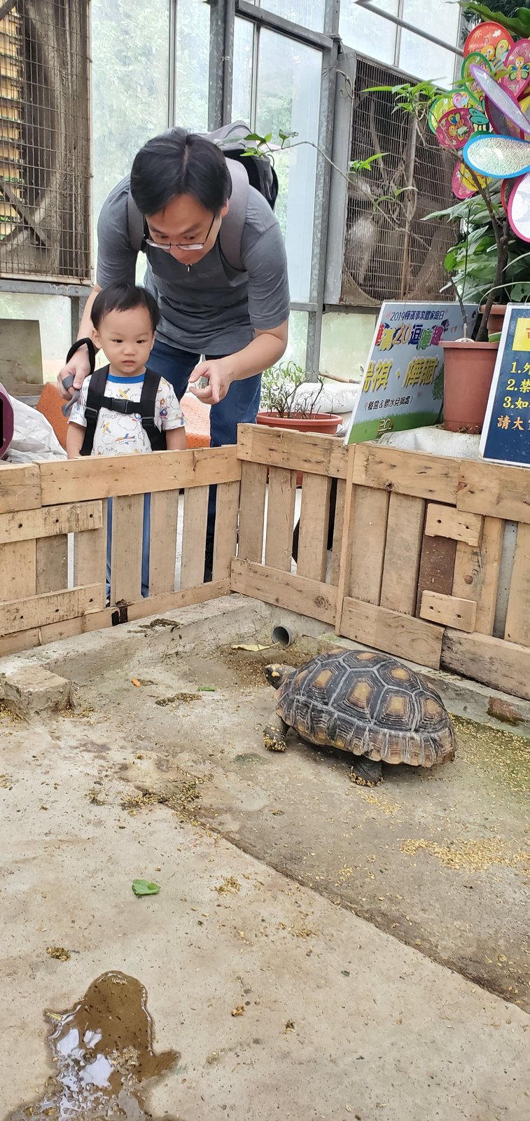 新北五股 準休閒農場：讓小孩放電的地方/ 滿山滿谷的嬰幼兒